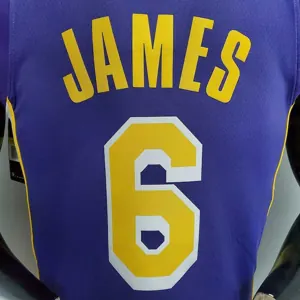James #6 Lakers purple 5
