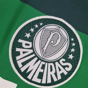 10-11 Palmeiras home 9