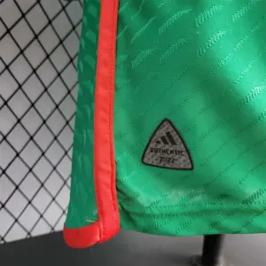 2022 Mexico home player version 4