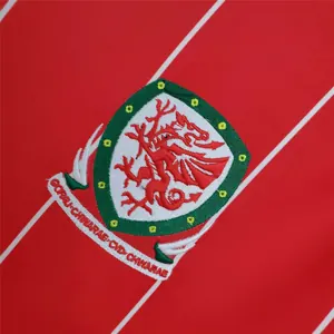 15-16 Wales home 4