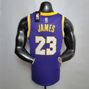 James #23 Lakers purple 4