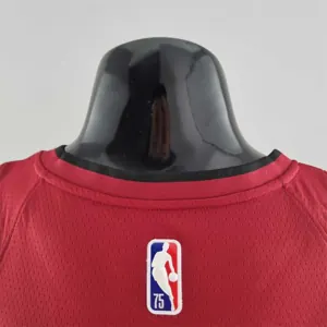 75th Anniversary Miami Heat Jordan JAMES #6 Burgundy NBA Jersey 6