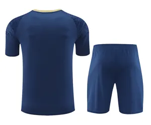 24-25 Palmeiras Training Soccer Jerseys Football Shirts 2
