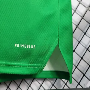 2022 Northern Ireland home 8