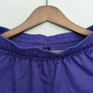 2022 Los Angeles Lakers NBA US Training Shorts Purple 3
