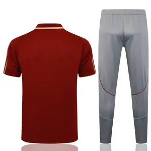 23-24 Arsenal Polo Yupoo 2