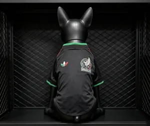 2026 World Cup Mexico Third Kit Pet Jersey Yupoo 3