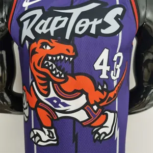 Toronto Raptors SIAKAM #43 Purple NBA Jersey 6