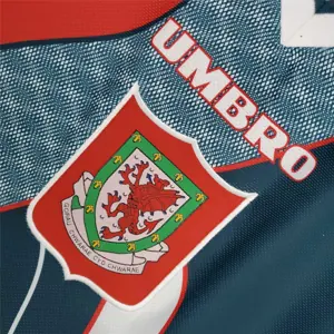 94-95 Wales away 3