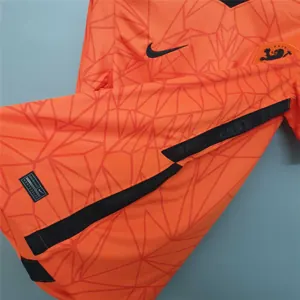 2020 Netherlands home 2