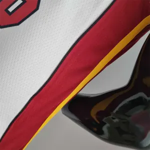 75th Anniversary Miami Heat JAMES #6 White NBA Jersey 5