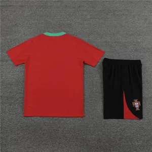 23-24 Portugal Training Soccer Jerseys Yupoo 1