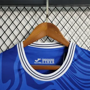 23-24 Hoffenheim home 4