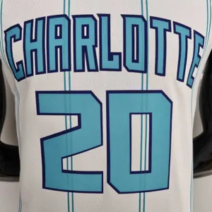 75th Anniversary Hayward #20 Charlotte Hornets White NBA Jersey 5