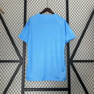 2024 Netherlands Lion Kit Special Edition Shirt Best Jerseys Yupoo 1
