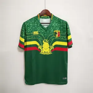 2022 Mali home
