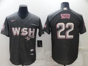 Washington Nationals 24