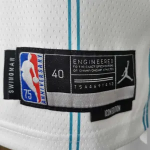 75th Anniversary Hayward #20 Charlotte Hornets White NBA Jersey 6