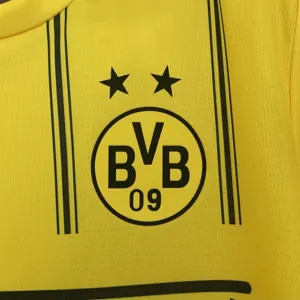 25-26 Borussia Dortmund x One Piece Special Edition Kit Football T-Shirt AAAAJersey Wholesale Y 5