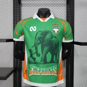 2025 Ivory Coast Special Edition T-Shirt Player Version AAAAJersey Yupoo-2