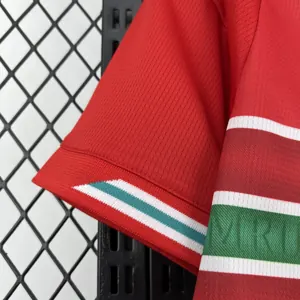 2026 Wales World Cup Home Kit Football T-Shirt AAAAJerseys Supply Yupoo 6