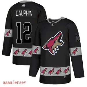 2019 Arizona Coyotes ice hockey jersey M-3XL 亚利桑那土狼冰球服 2