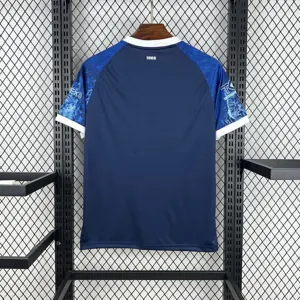 25-26 FC Hansa Rostock Baltic Sea Special Edition Shirt Football Uniform AAAAJersey Wholesale Y 1