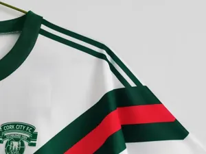 88-89 Cork City home 4