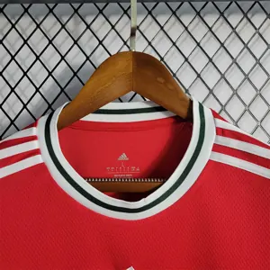 2022 Wales home 3