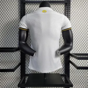 AIK Sonina 132nd Anniversary Edition player version 3