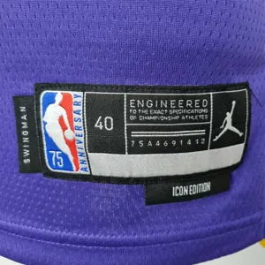 75th Anniversary James #6 Los Angeles Lakers Jordan Purple NBA Jersey 4