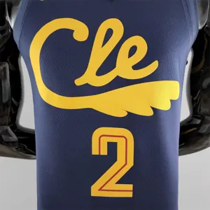 Cleveland Cavaliers Irving #2 Striped NBA Jersey 5