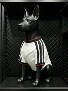 2026 World Cup Germany Home Kit Pet Jersey Yupoo 3 2