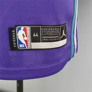 Hornets Hayward#20 Purple 7