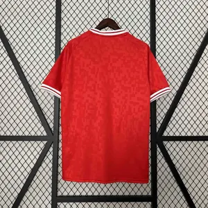 2024 Denmark Home Kit UEFA Euro Shirt Football Replicas Yupoo 1