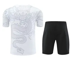 24-25 Real Madrid Training Soccer Jerseys Football Shirts 3