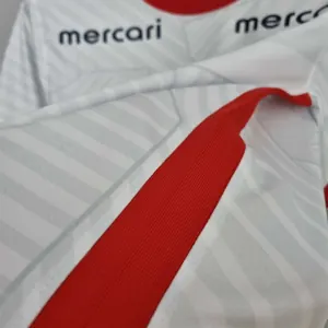 22-23 Kashima Antlers away 3
