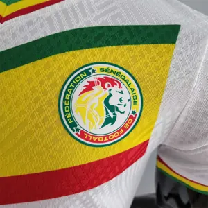 2022 Senegal home player version 5