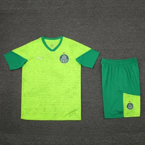24-25 Palmeiras Training Soccer Jerseys Football Shirts 2