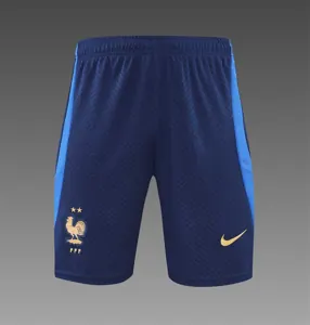 2022 France Training Suit Short Sleeve Kit Blue 10