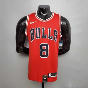 LAVINE#8 Chicago Bulls