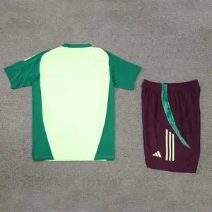 2024 Mexico Training Soccer Jerseys Football Shirts 1