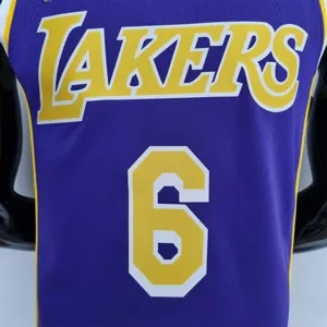 75th Anniversary James #6 Los Angeles Lakers Jordan Purple NBA Jersey 9