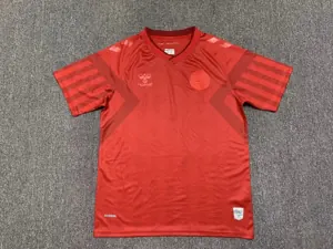 2022 Denmark home