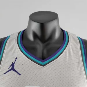 2019 Ball#2 Charlotte Hornets Grey NBA Jersey 3