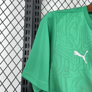 25-26 Palmeiras Training Kit Soccer T-Shirt AAAAJersey Supply Yupoo 4