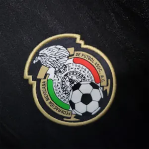 2010 Mexico away 5