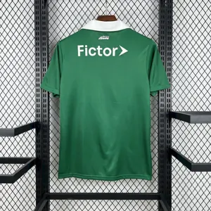 25-26 Palmeiras Special Edition Kit Football T-Shirt AAAAJersey Supply Yupoo 2
