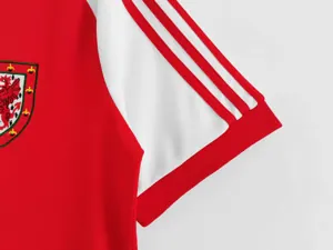 1982 Wales home 4
