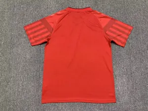 2022 Denmark home 1